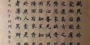 2025当代书画名家：杨仪瑞