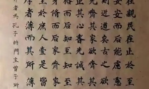 2025当代书画名家：杨仪瑞
